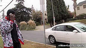 Kylie Ireland Hardcore Movie