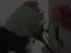 Every girl’s mystic fantasy