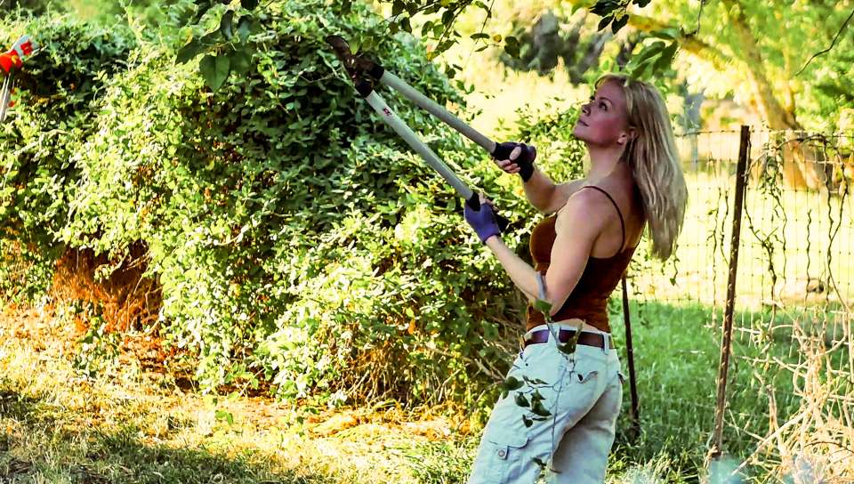 Planting Seeds on My Neighbor’s Wife